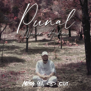 Puñal