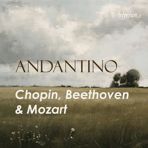 10 Variations for Piano Trio on "Ich bin der Schneider Kakadu", Op. 121a: Var. 1