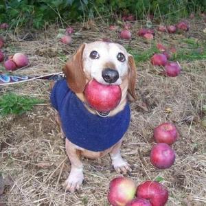 casually (feat. cometsfuneral)