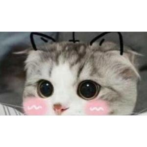 你是我想要的恋爱