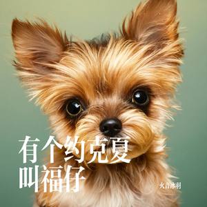 有个约克夏叫福仔