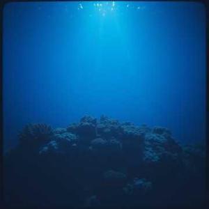 海的拥抱 (V.2 Summer)