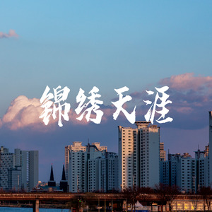 锦绣天涯（live）