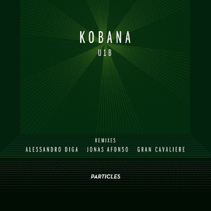 U1B (Gran Cavaliere Remix)