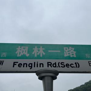 枫林酒店demo