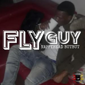 Fly Guy