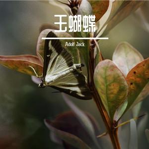 谢霆锋 - 玉蝴蝶（Adolf Jack Remix）