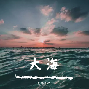 大海（柯柯柯啊）