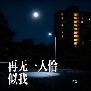 再无一人恰似我 (Cover 王优秀)