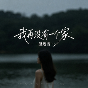 我再没有一个家