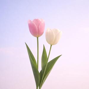 어쩌면 처음부터