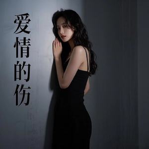 爱情的伤（痛入心房）