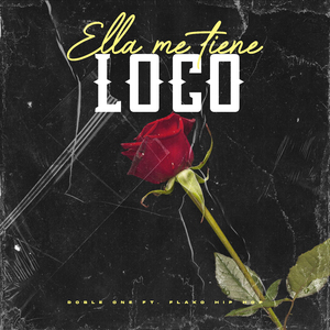 Ella Me Tiene Loco