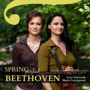 Sonata for Violin and Piano NO. 5 "Spring" in F Major, OP. 24: IV. Rondo. Allegro Ma Non Troppo