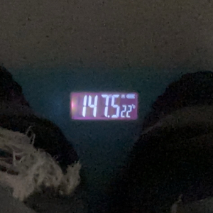 也许就这样