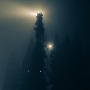 老Q-乌龙（派大星 Remix）