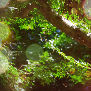 先斗町:浮世 - Pontochō: The Floating World