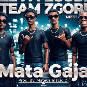 Mata Gaja (Mateus Inácio dj)