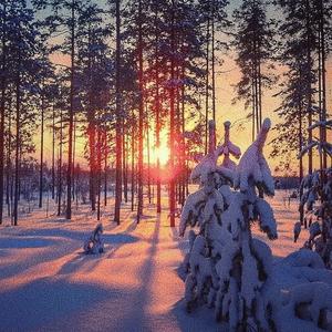 我心中的南波万