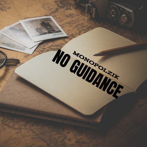 No Guidance