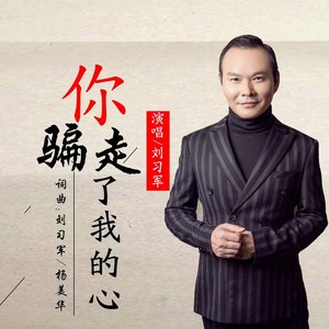 你骗走了我的心 (DJ版)