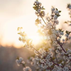 Simplistic Music for Rainy Study Days