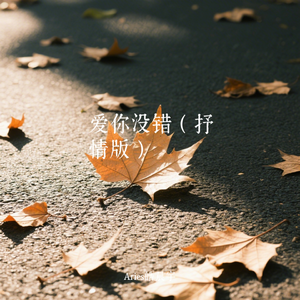 爱你没错（抒情版）