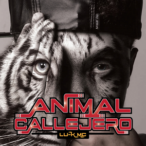 Animal Callejero