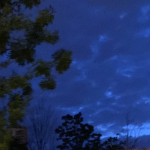 疑心病 (抖音温柔男声)（翻自 故事回收机）