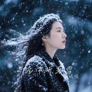 风中听落雪 (Cover 小阿枫)