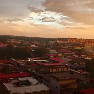 花朵(写给华晨宇的歌)