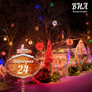 Новогодняя 24