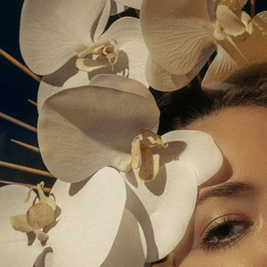 I Should Stop Smoking