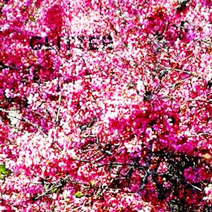 Glitter (feat. Mayten)