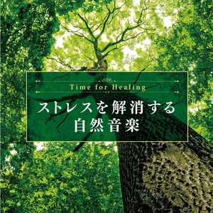 暖かな風が吹いた日
