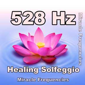 528 Hz Miracle Healing Frequency / Meditation Music