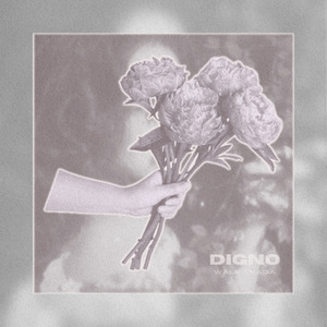 Digno (Slow Down)