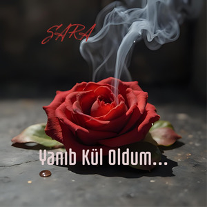 Yanıb Kül Oldum...