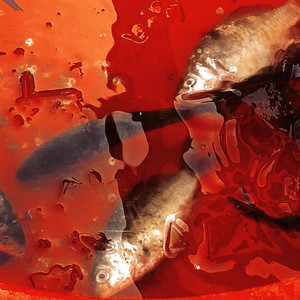 未必要活在振奋里