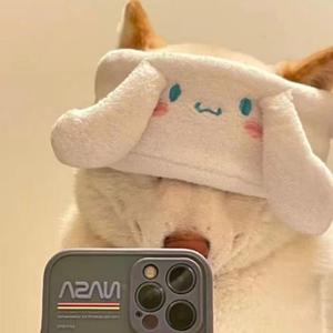 恰恰