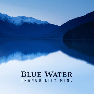 Relaxation Generator