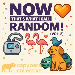 The Books I Never Read