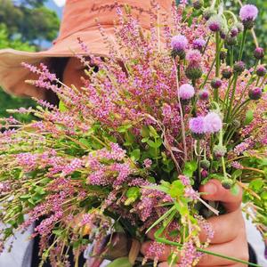 【免费伴奏】知识付费