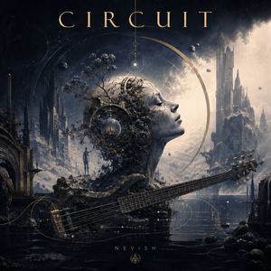 Circuit