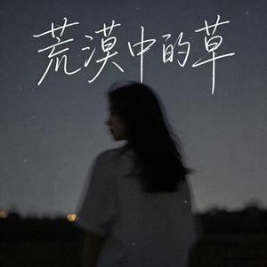 荒漠中的草 (许衍 Xyan Remix)