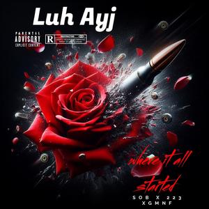 The Bros (feat. MrDropDown)