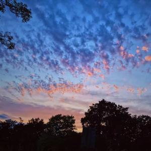 张政-单方面 feat.ZR4（张政 / 赵若帆 remix）