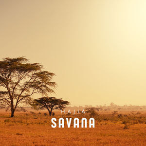 Savana
