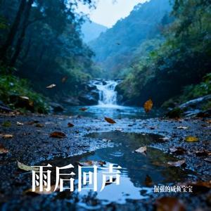 雨后回声