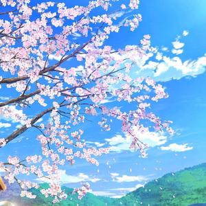 樱花、蓝天、女孩